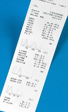 Распечатка результатов