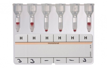 Подгруппы антигена A