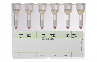 Скрининг антител